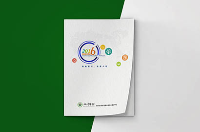 平果县画册设计：以场景为媒，打造城市体验的全新入口